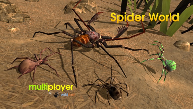 Spider Multiplayer