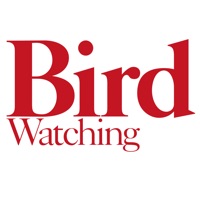 Bird Watching: Expert tips