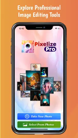 Game screenshot Pixelize Pro mod apk