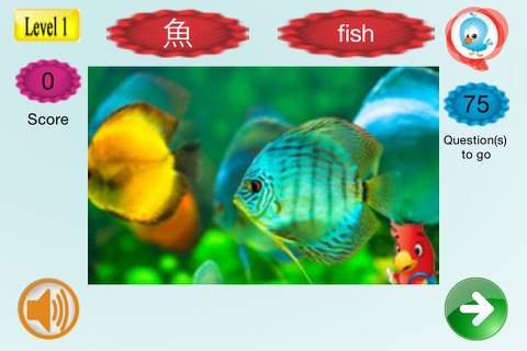 Mandarin Intermediates - náhled