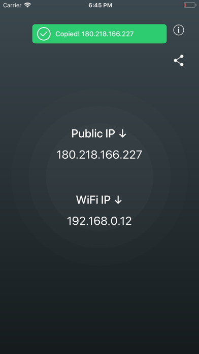 Find IP • Public & WiFi screenshot 3