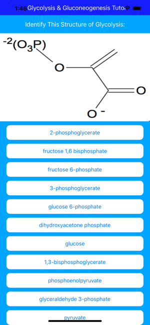 Glycolysis Glucogenesis Tutor