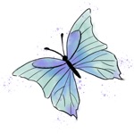 Dazzle Colour Butterfly