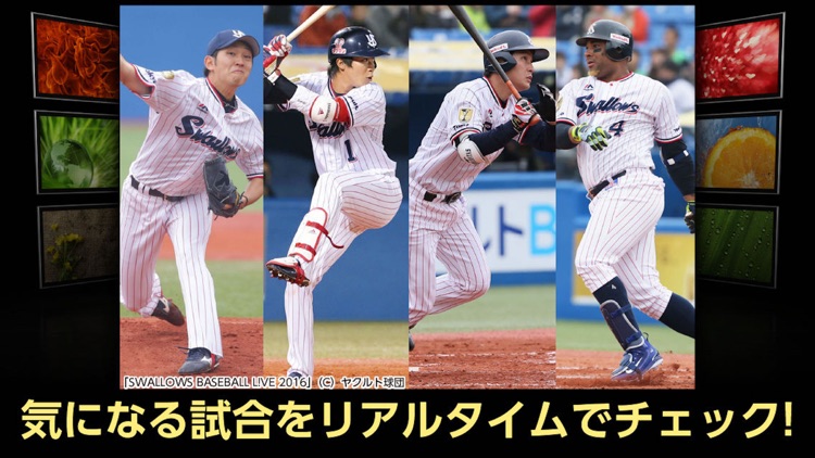 ひかりTVどこでも