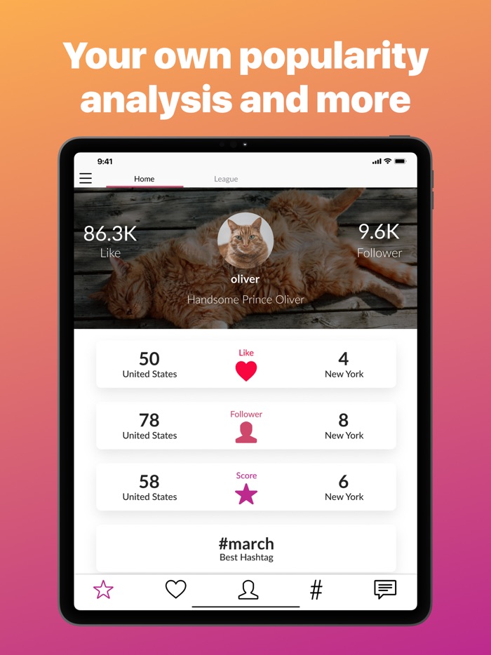 Liker Analyzer for Instagram