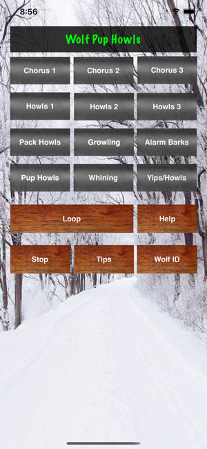 Wolf Hunting Calls(圖4)-速報App