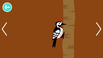 【图】Black White Animals for Babies(截图1)