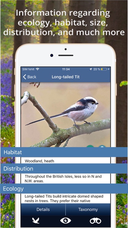 Bird Id - British Isles birds screenshot-5