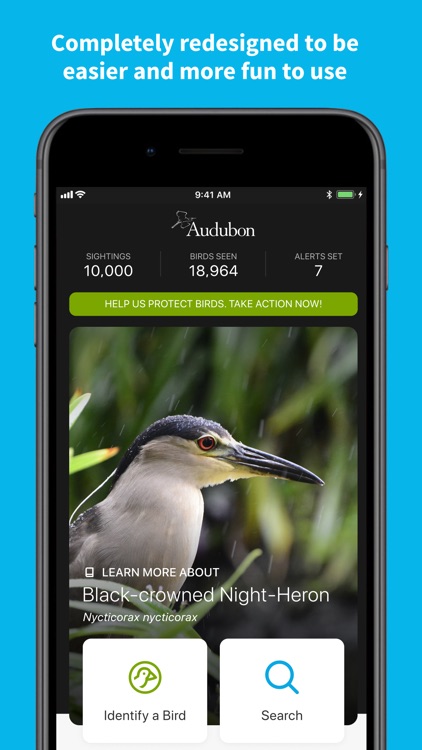 Audubon Bird Guide screenshot-0