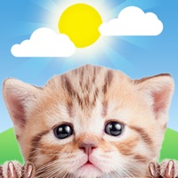 Weather Kitty app not working? crashes or has problems?