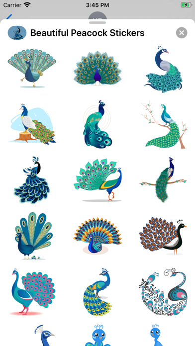 Beautiful Peacock Stickers screenshot 3