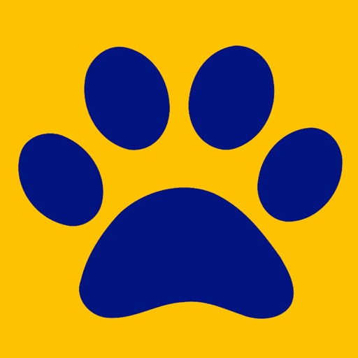 Imagine Camelback Download