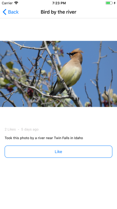 Birds by Mini App Maker screenshot 3