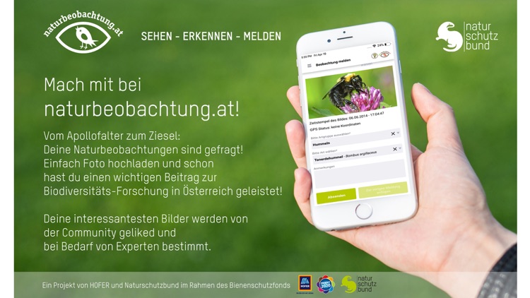 naturbeobachtung.at