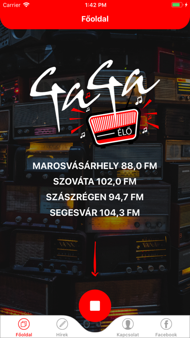 Radio Gaga screenshot 3