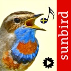 Top 23 Reference Apps Like Fågelsång Id  - automatisk identifiering av fåglar - Best Alternatives
