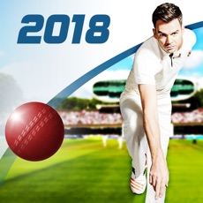 Activities of Cricket Captain 2018