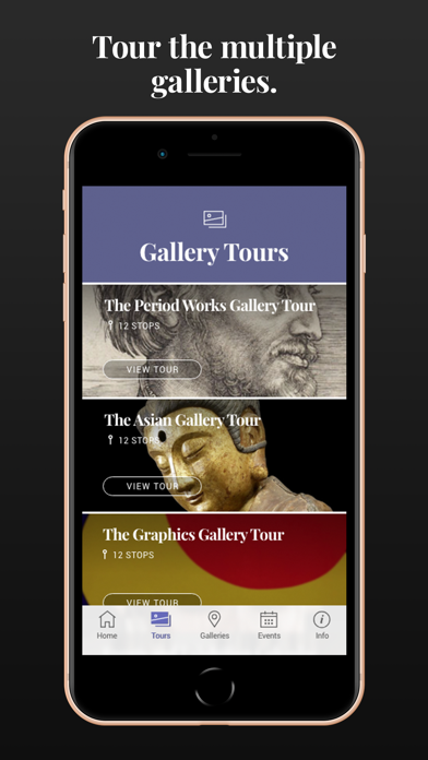 The Schumacher Gallery App screenshot 2