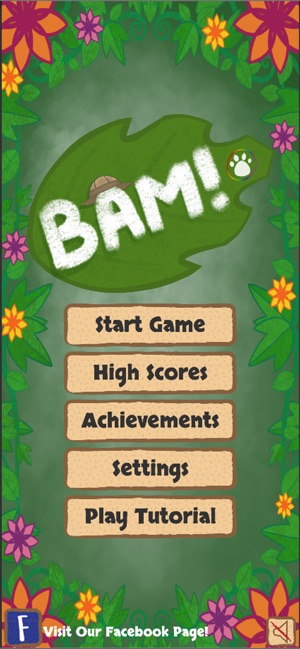 BAM! Safari Rush