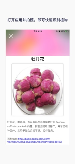 Photo Flower Identification(圖2)-速報App