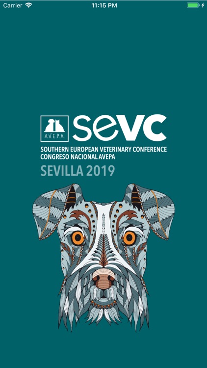 SEVC Seville 2019