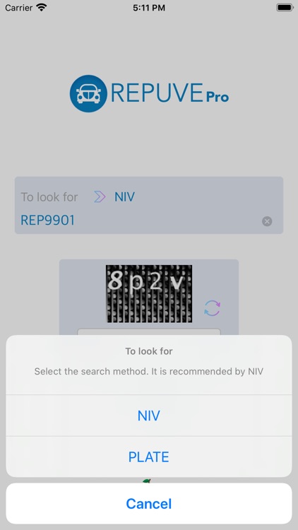 Repuve Pro - Check your Car
