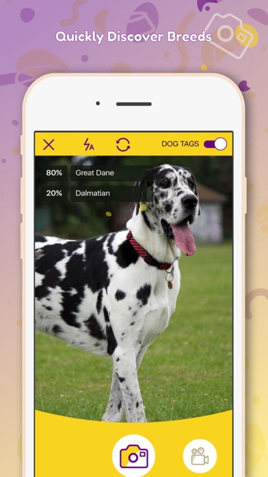 How to cancel & delete DreamDog: Find Your Dream Dog! from iphone & ipad 4