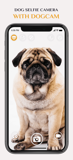 Dog Selfie Camera(圖4)-速報App