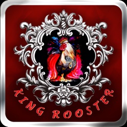 King Rooster