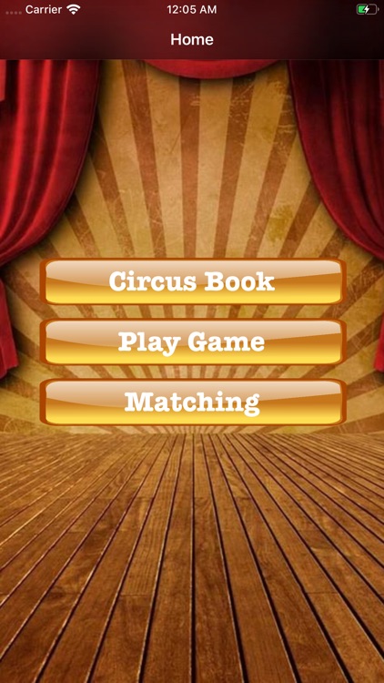 Amazing Circus Book