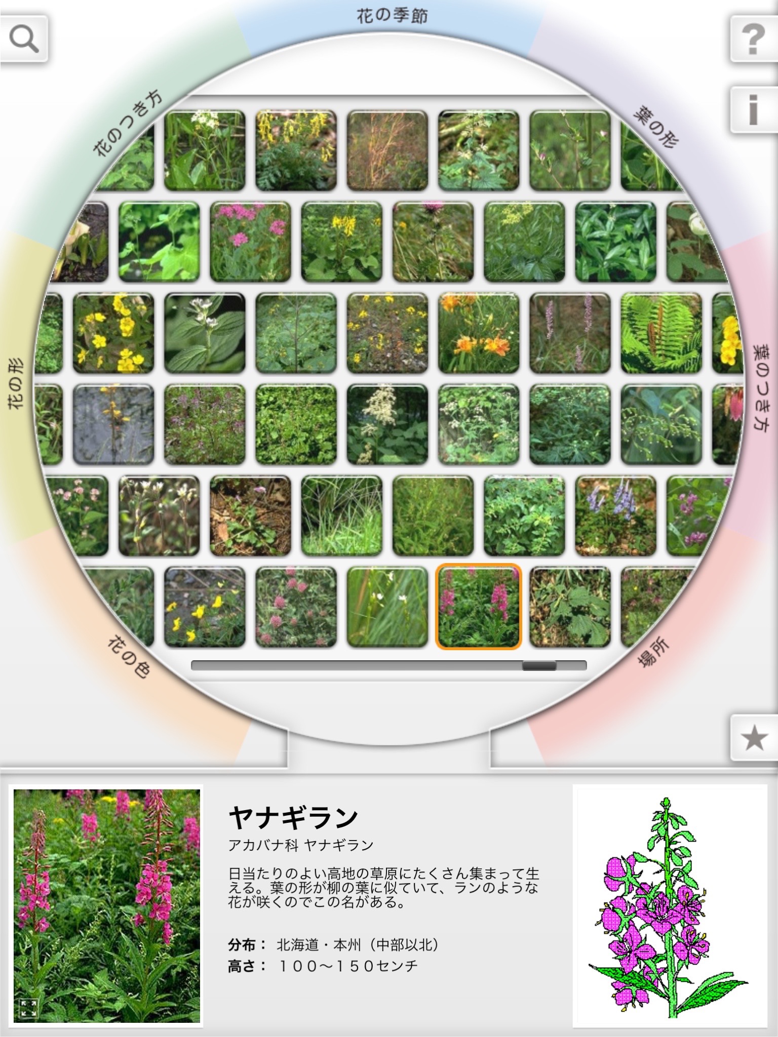 リング図鑑 《植物》 screenshot 2