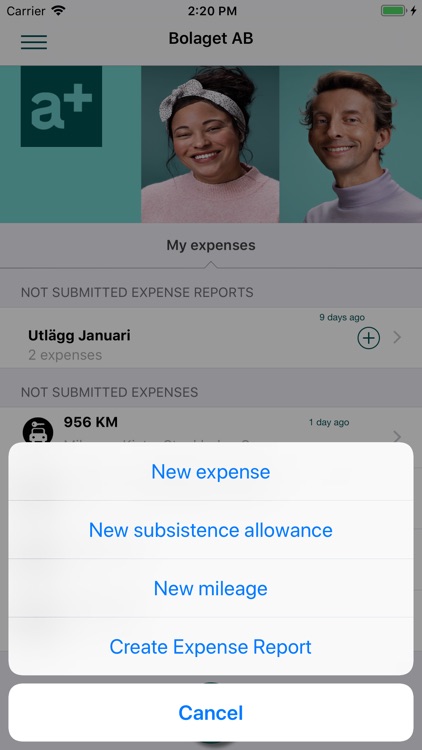 Accountor Expense