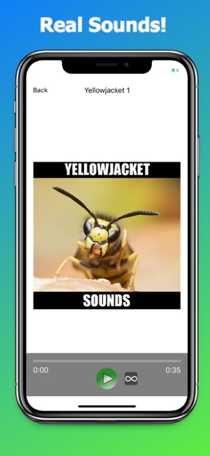 Yellowjacket Sounds(圖3)-速報App