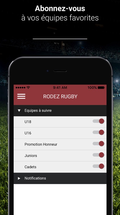 RODEZ RUGBY screenshot-4