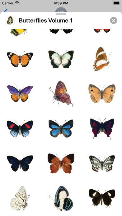 Butterflies Volume 1 screenshot 2