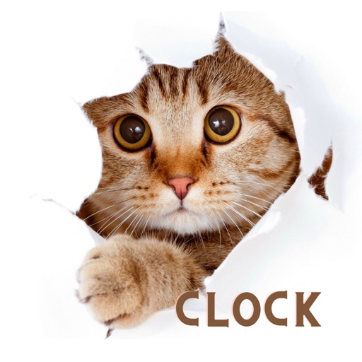 Cat Clock app.digital cute