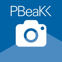 PBeaKK EinreichungsApp ne fonctionne pas? problème ou bug?