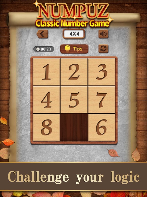 iPad Image of Numpuz:Classic Number Game