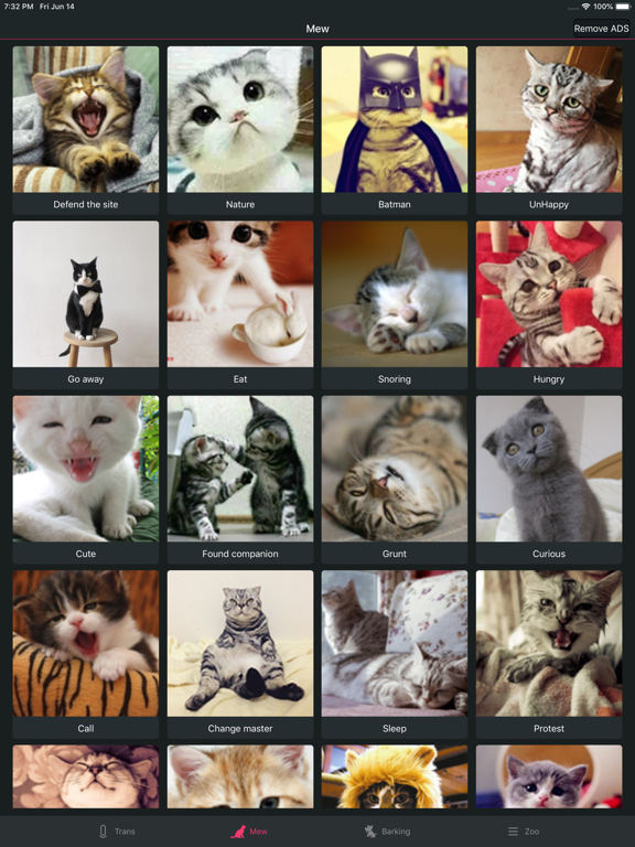 Pet translator - Cat&Dog screenshot 2