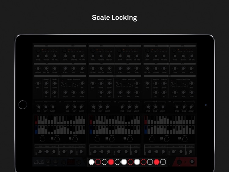 AN1 Analogue Groovebox screenshot-4