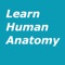 Learn Human Anatomy Bones and Internal Organs, a Simple learning and educational application that contains information of different human biological, human systems