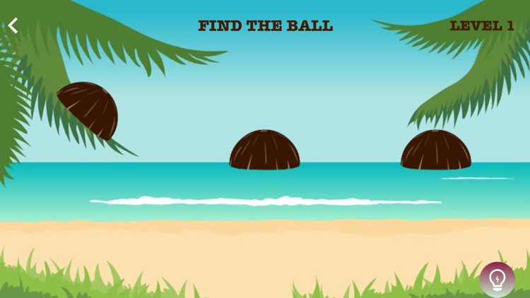 Find a Ball : Coconut Curumba