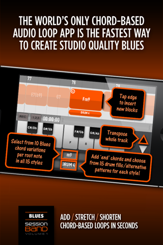 SessionBand Blues 1 screenshot 2