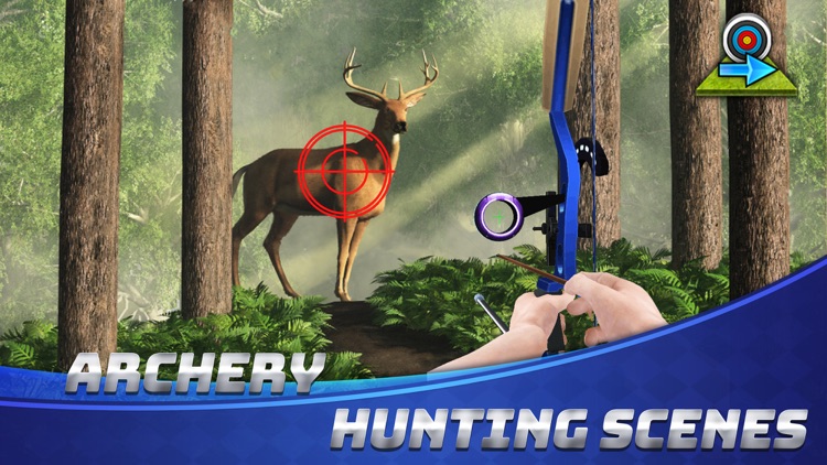 Archery Champ - Bow&Arrow King screenshot-4