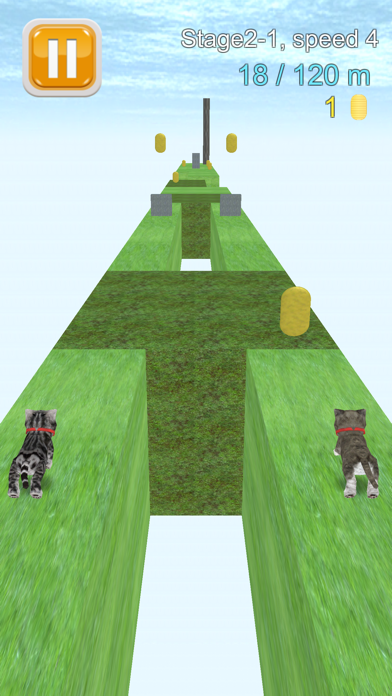 Cat Run - kitten running game screenshot 2