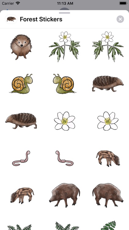 Forest Stickers screenshot-6