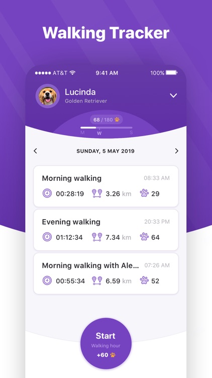 Dog walking & whistle training