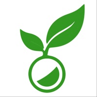 Organic Shala pour PC
