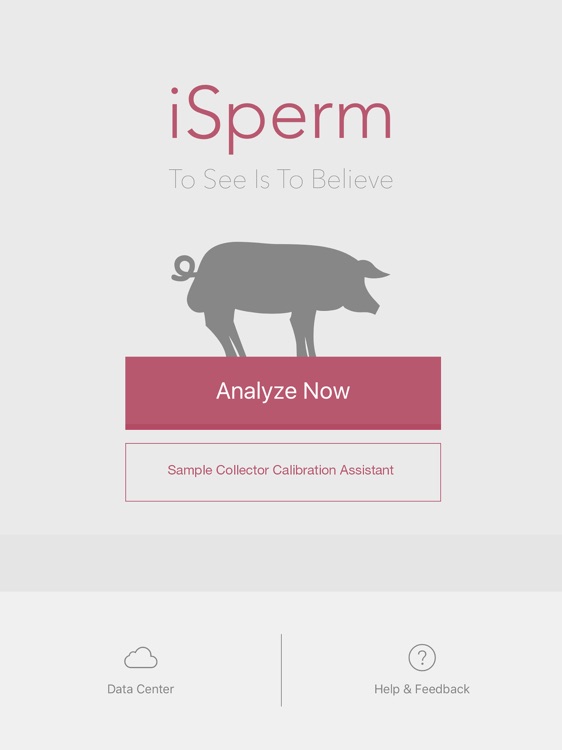 iSperm Swine 5