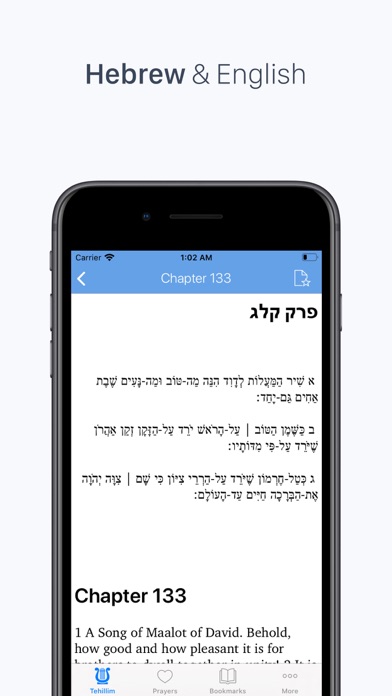 Tehillim screenshot 2